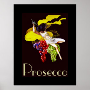 Posters de la Dame Vintage de la femme du procureu