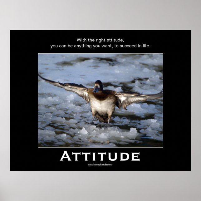 Posters de motivation de l'attitude du canard à tê (Devant)