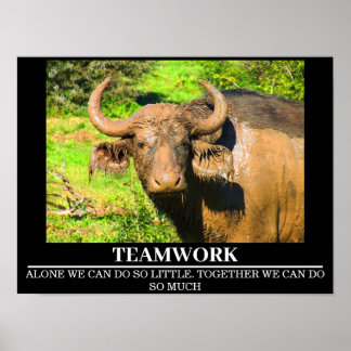 Posters de motivation faunique Travail d'équipe de