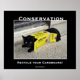 Posters de motivation pour chats noirs