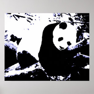 Posters de Panda - Poster de Panda