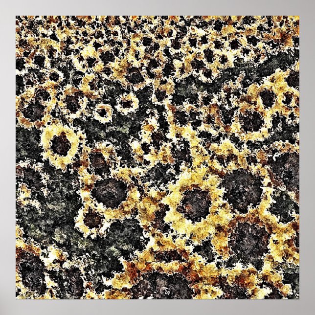 Posters de tournesol (Devant)
