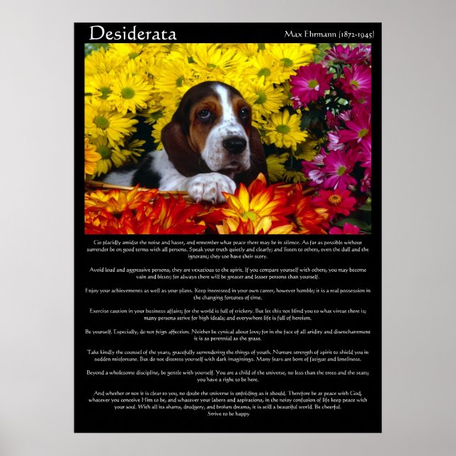 Posters Desiderata 6 (Devant)