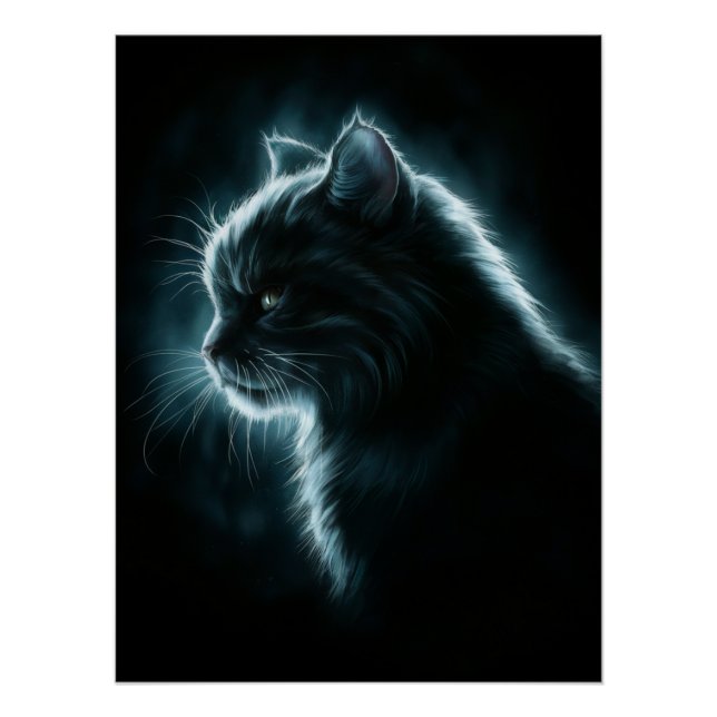 Posters Dives Cat 2 Poster (Vorderseite)