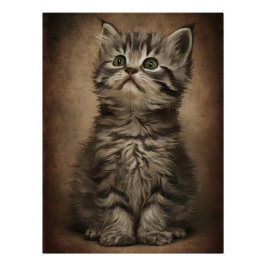 Posters Dives Cat 4 Poster