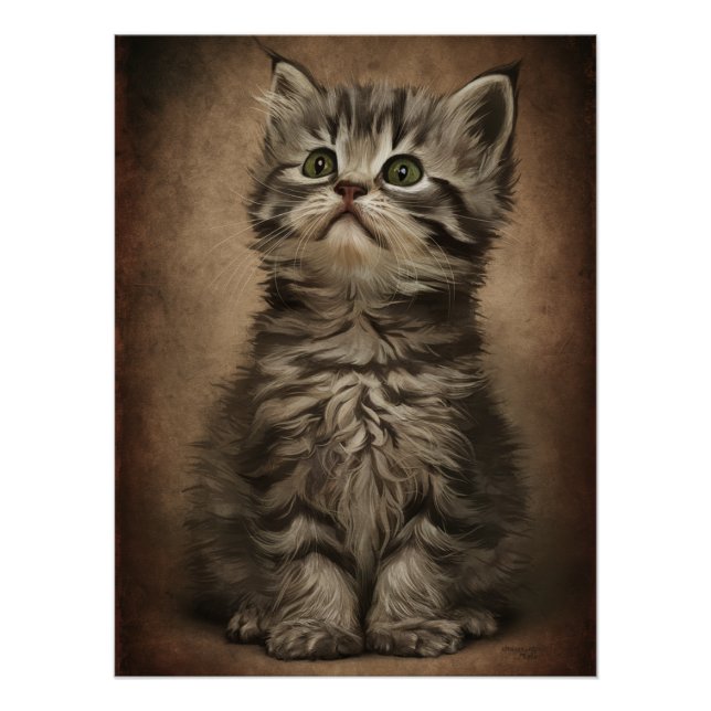 Posters Dives Cat 4 Poster (Vorderseite)