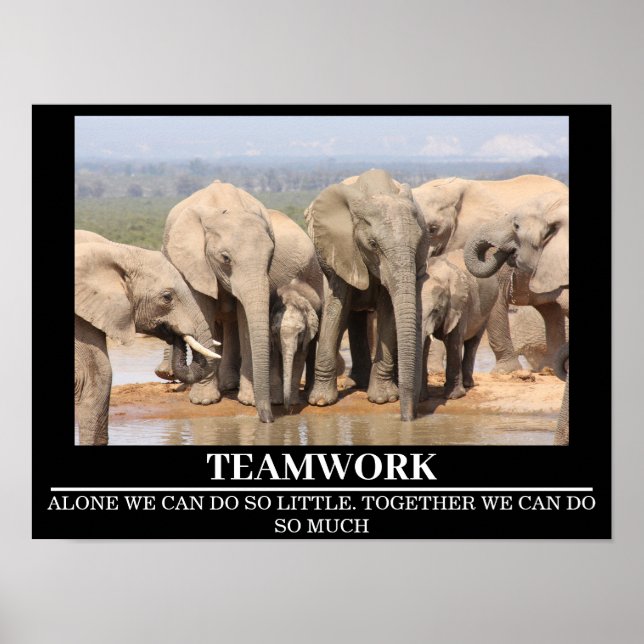 Posters Motivation Faune Elephant Travail d'équipe (Devant)