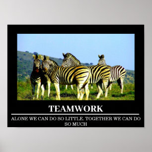 Posters Motivation Faune Zebra Teamwork