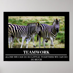 Posters Motivation Faune Zebra Teamwork