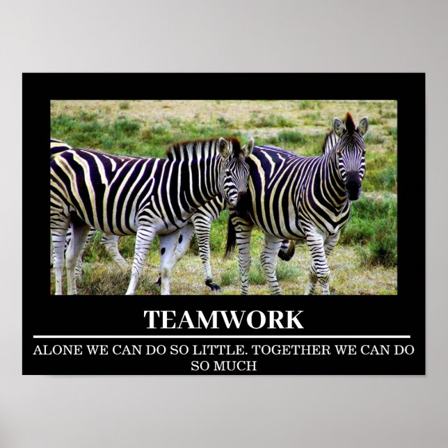 Posters Motivation Faune Zebra Teamwork (Devant)