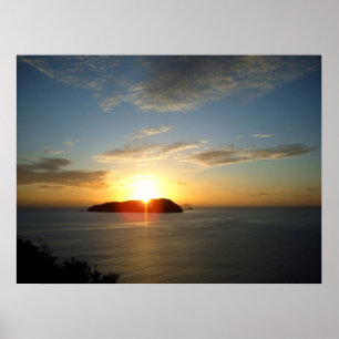 Posters néo-zélandais