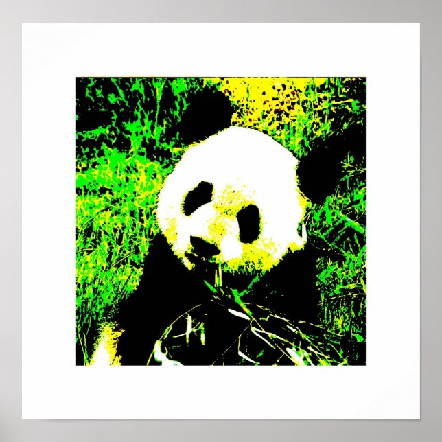 Posters Panda - Poster de manger Panda (Devant)
