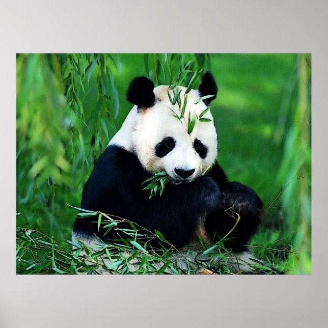 Posters Panda - Poster Feuille Panda (Devant)