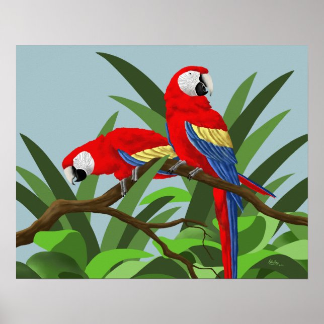 Posters Scarlet Macaw (Devant)