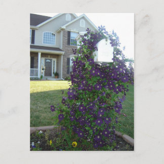 Postfach und Clematis Postkarte