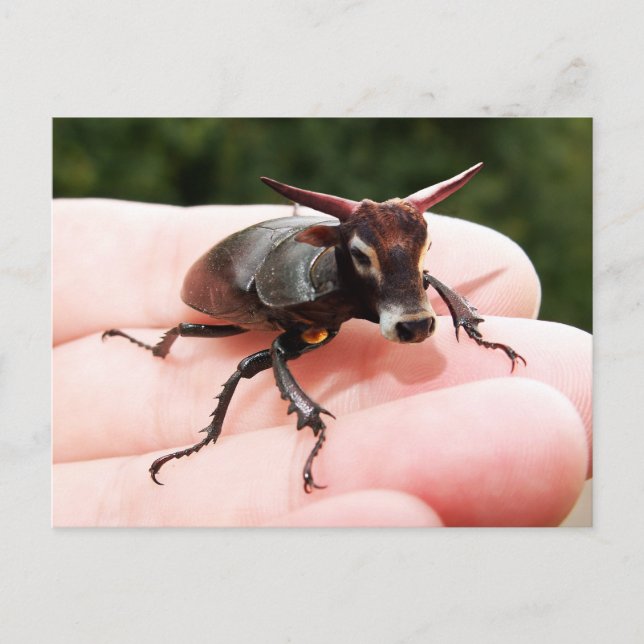 Postkarte (Vorderseite)