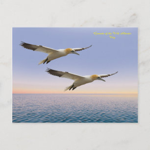 Postkarte
