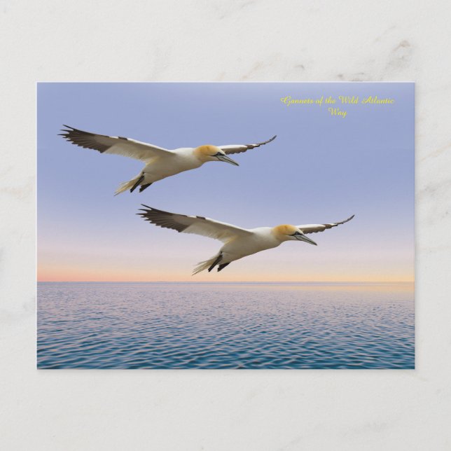 Postkarte (Vorderseite)