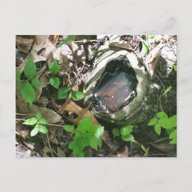 Postkarte (Vorderseite)