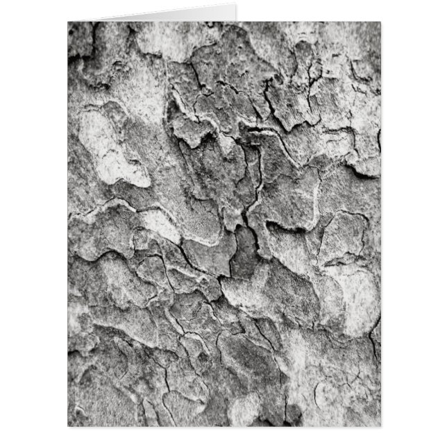 Postkarte (Vorderseite)