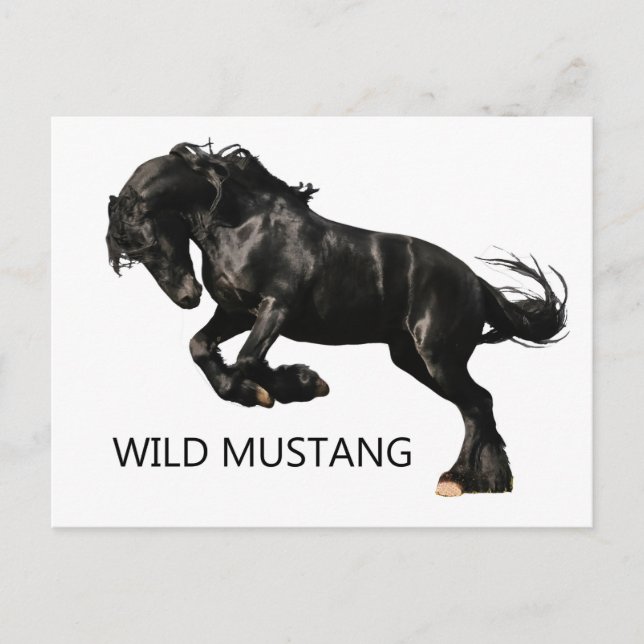 Postkarte (Vorderseite)