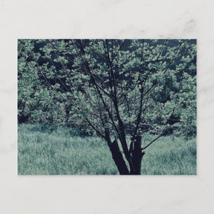 Postkarte