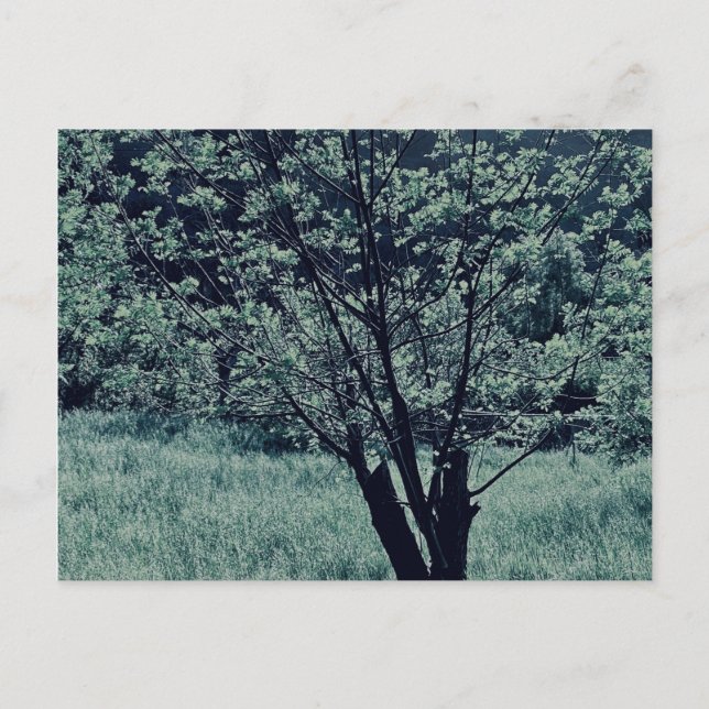 Postkarte (Vorderseite)
