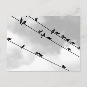 Postkarte