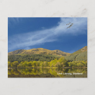 Postkarte
