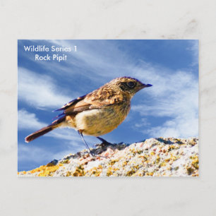 Postkarte
