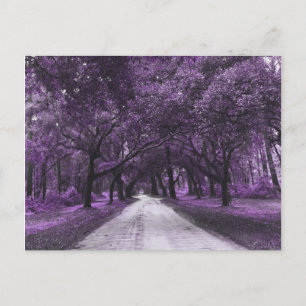 Postkarte