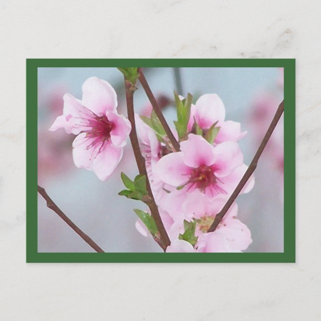 Postkarte (Vorderseite)