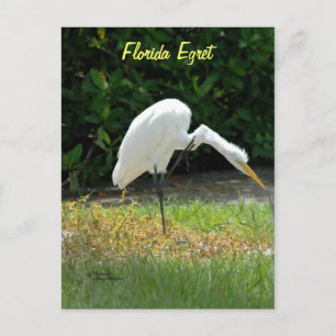 Postkarte