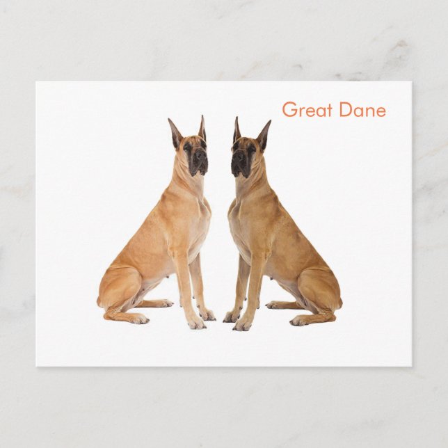 Postkarte (Vorderseite)