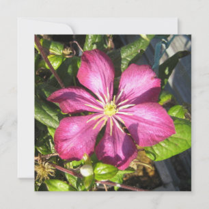 Postkarte
