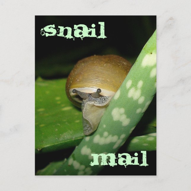 Postkarte (Vorderseite)