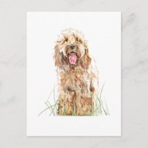  POSTKARTE