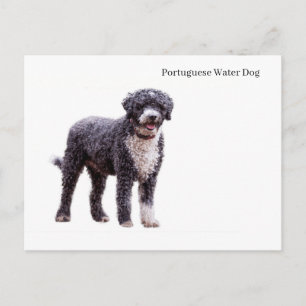 Postkarte