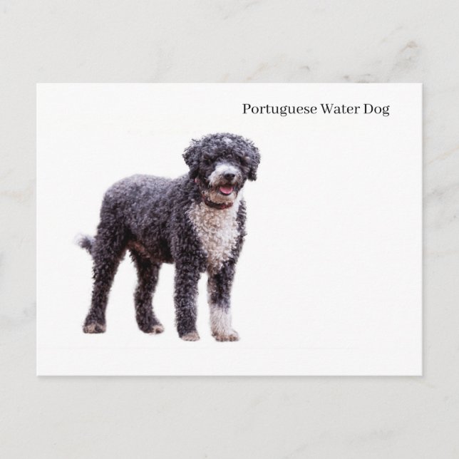Postkarte (Vorderseite)