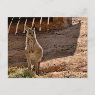 Postkarte