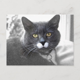 Postkarte
