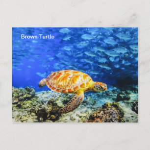 Postkarte