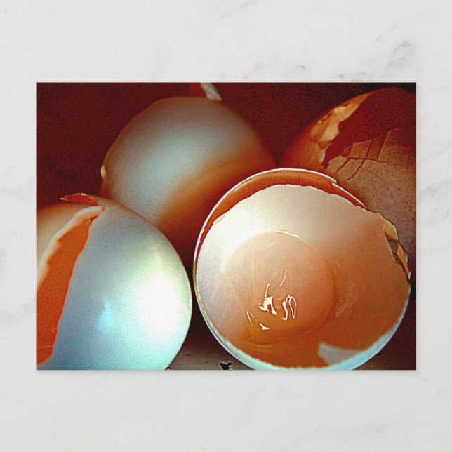 Postkarte (Vorderseite)