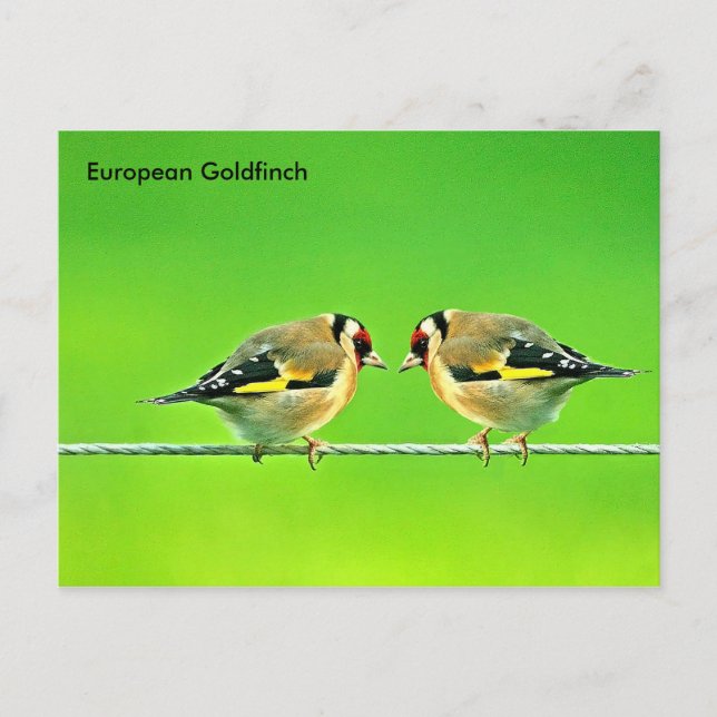 Postkarte (Vorderseite)