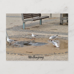Postkarte