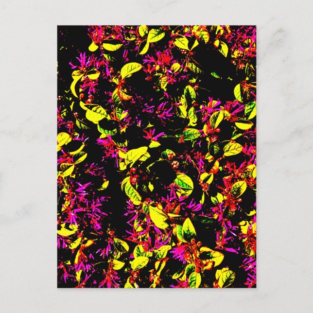 Postkarte (Vorderseite)