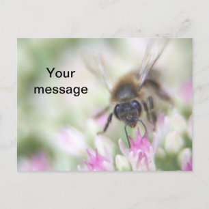Postkarte