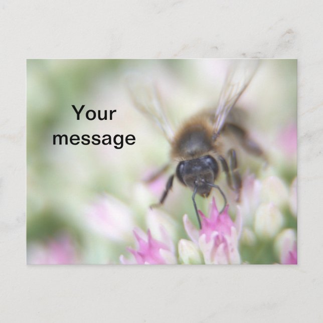 Postkarte (Vorderseite)