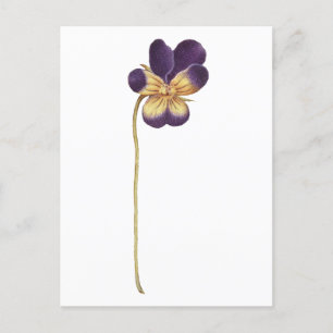 Postkarte