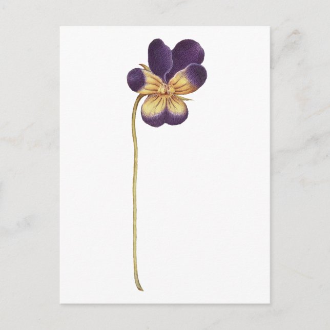 Postkarte (Vorderseite)